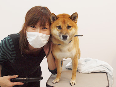 DOG SALON ZOA